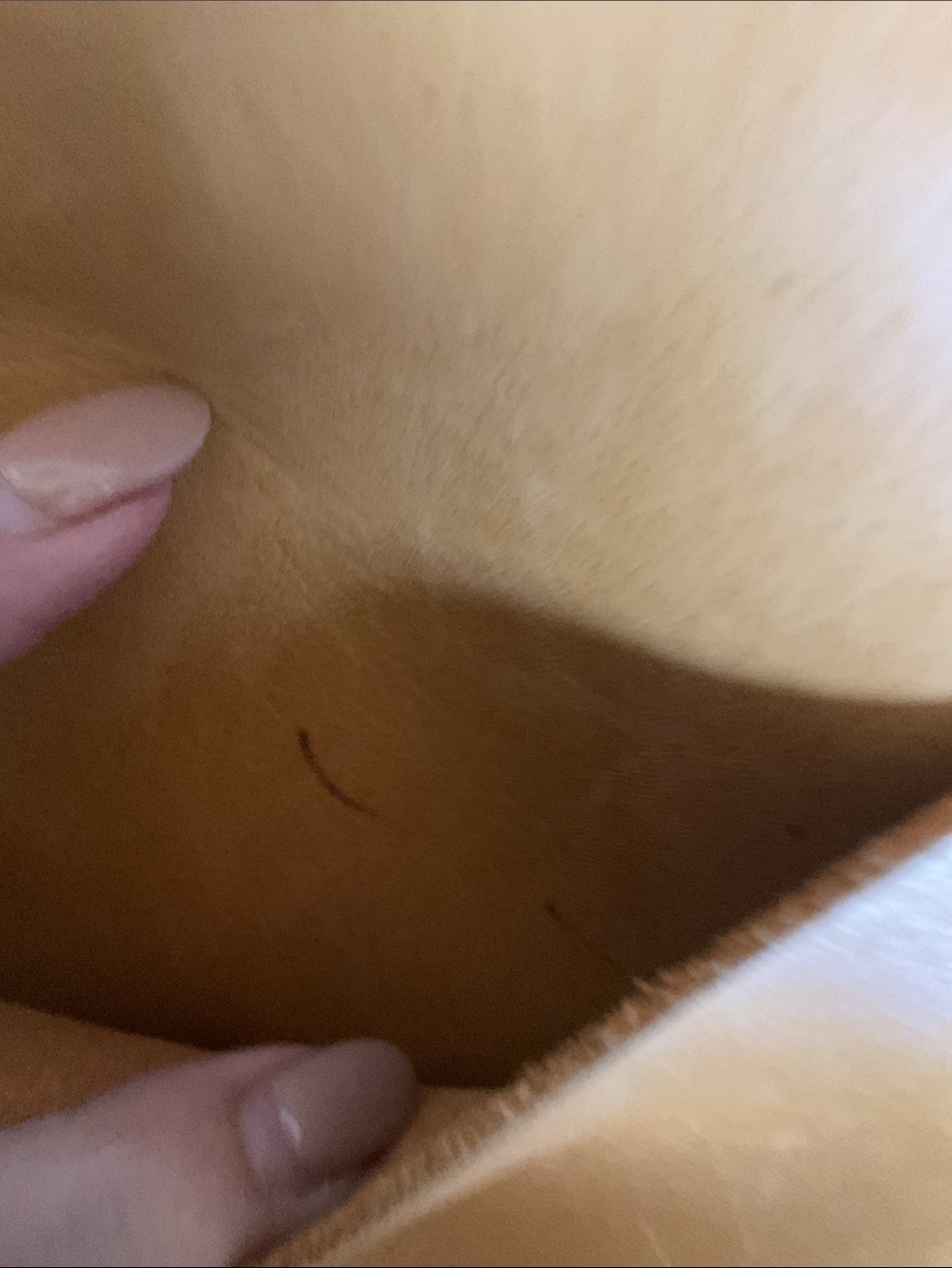 Portland Leather EUC Sunflower Round Crossbody - Picture 12 of 12